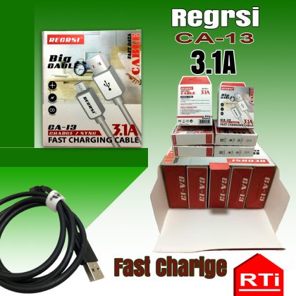3.1A Regrsi CA-13 Data Cable
